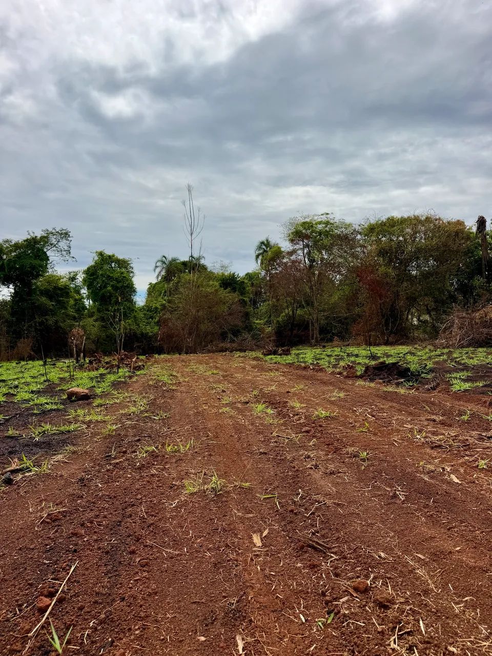 Chácara com Córrego. Em Goianápolis-GO - Foto 3