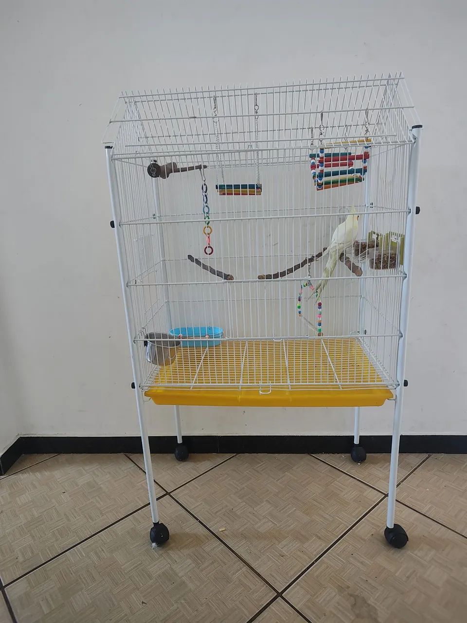 Gaiola espaçosa completa 