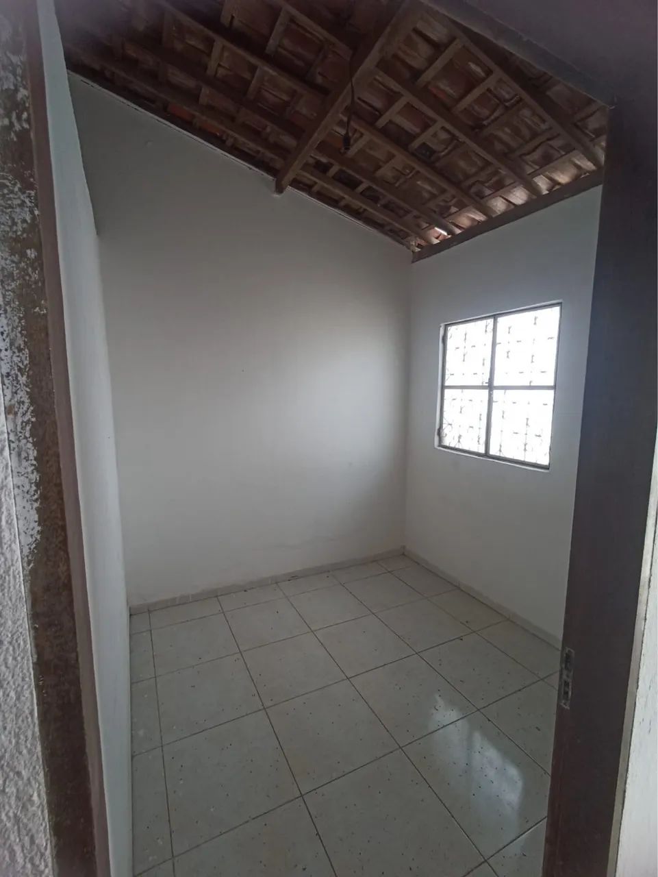 Vendo Cada No Frei Damião