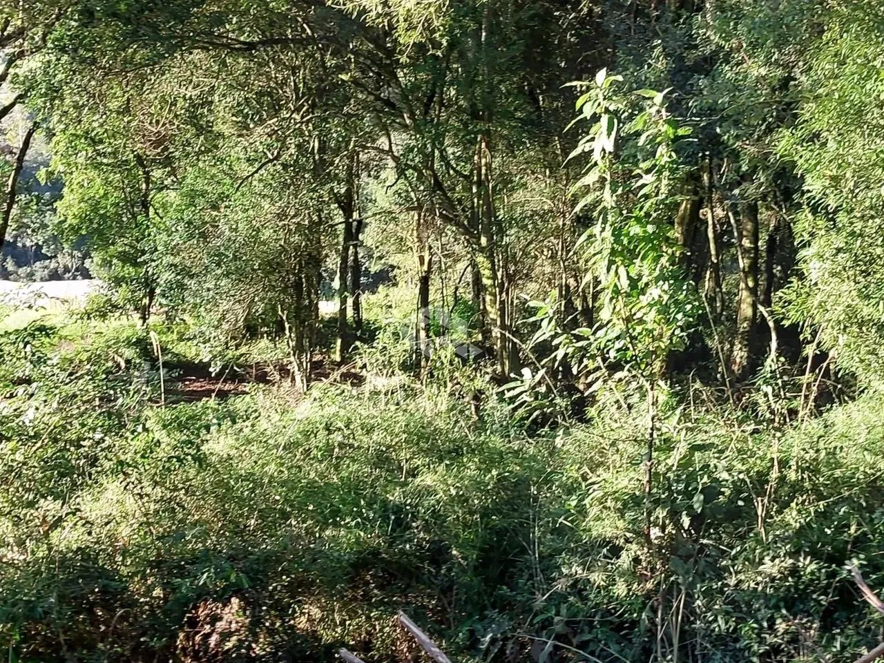 Área de terra de 02 hás agricultável - Foto 12