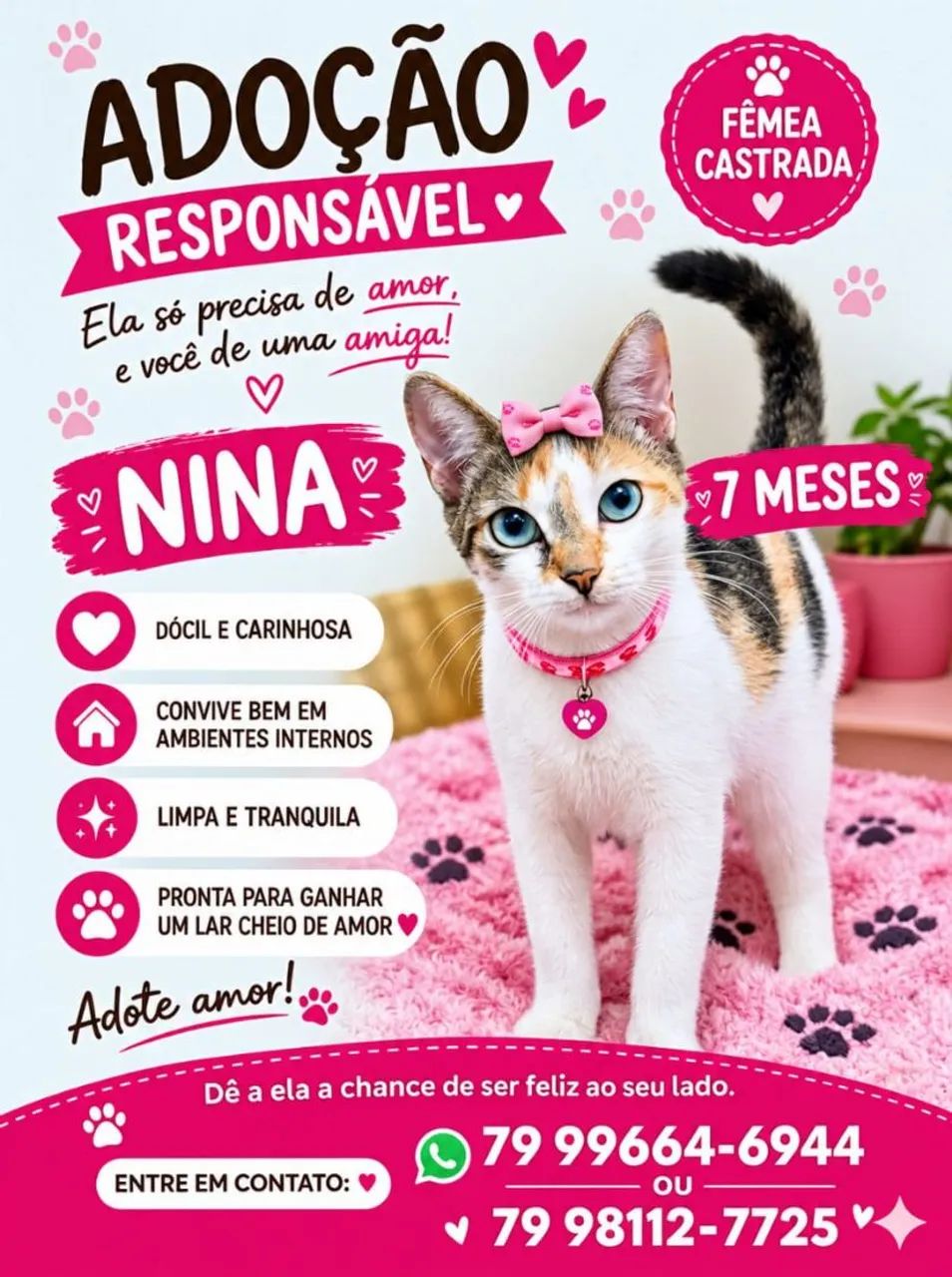 GATAS LINDAS E CASTRADAS - Foto 4