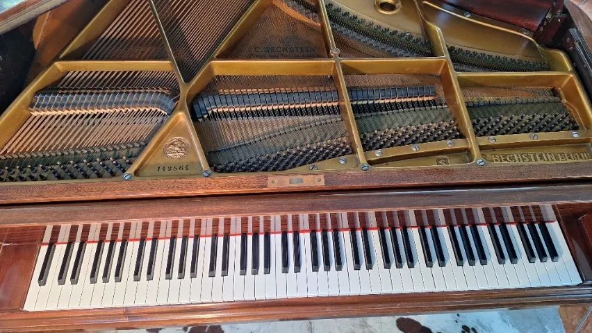Piano Cauda Bechstein S - Foto 5