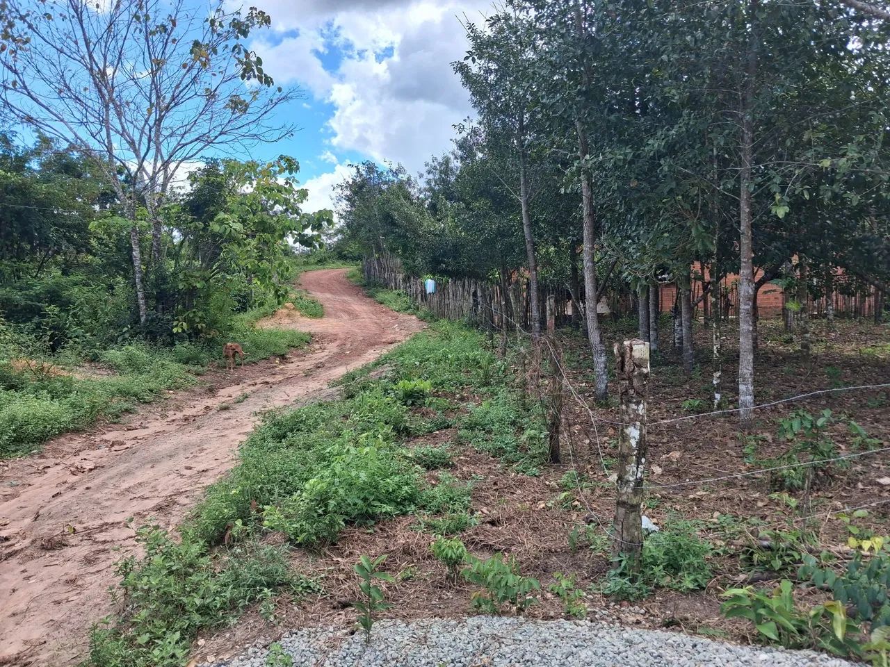 Vende-se um terreno - Foto 4
