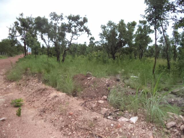 Chacara sentido estrada Guia - Foto 5