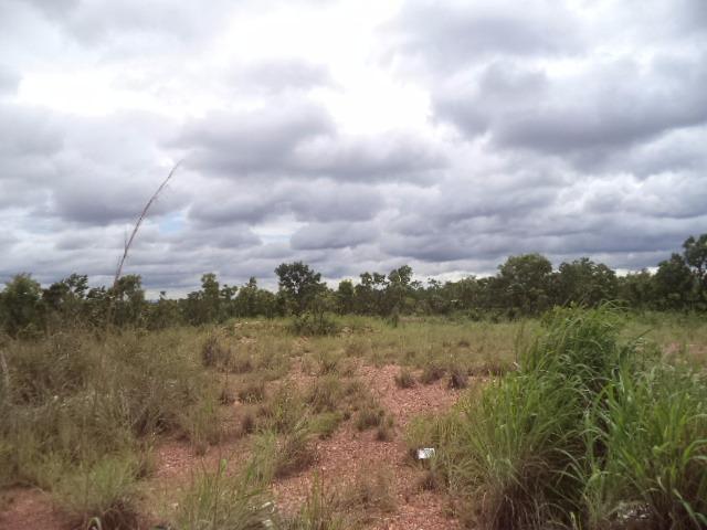 Chacara sentido estrada Guia - Foto 6