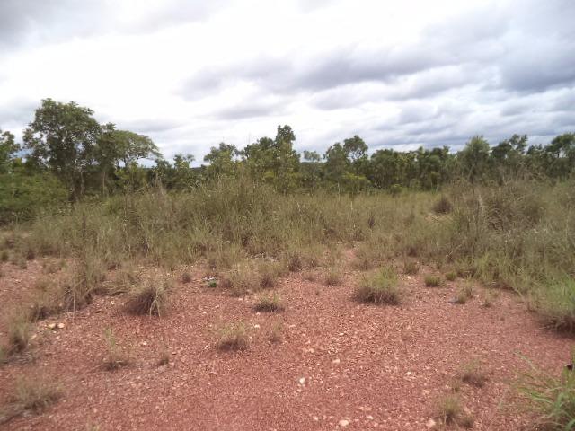 Chacara sentido estrada Guia - Foto 7