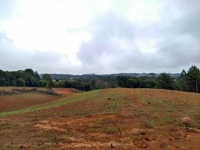 Lindo sítio terra boa - Foto 10