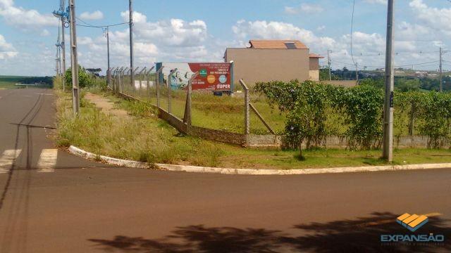 Terreno à venda em Alto das grevileas, Maringá cod:1110006021 - Foto 9