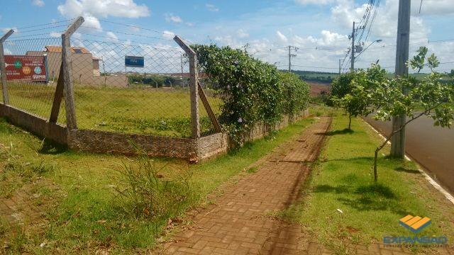 Terreno à venda em Alto das grevileas, Maringá cod:1110006021 - Foto 4