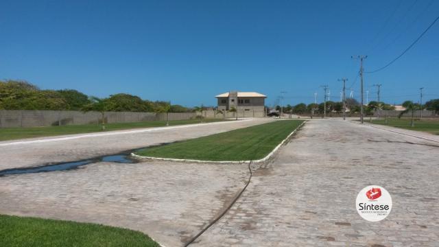 Loteamento Fechado em Canoa Quebrada-Ceará - Foto 7