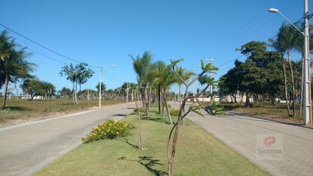 Terreno, Jabuti, Itaitinga-CE - Foto 6