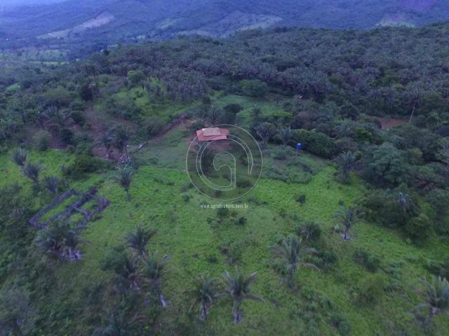 Sitio na região de santo antonio - Foto 5