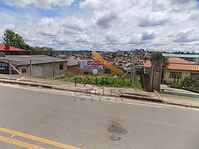 Terreno para alugar em Paloma, Colombo cod:31029001 - Foto 4