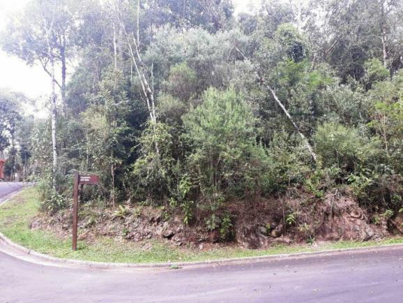 Terreno - Bairro Centro