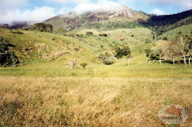 Chácara à venda em Zona rural, Castro alves cod:4570 - Foto 12