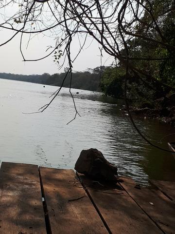 Sitio beira do rio cuiaba em Acorizal-MT - Foto 4