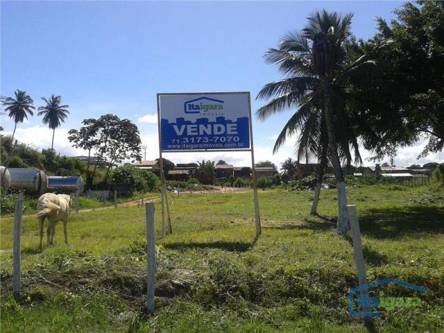 Terreno comercial para locação, estrada do coco, lauro de freitas - te0009. - Foto 2
