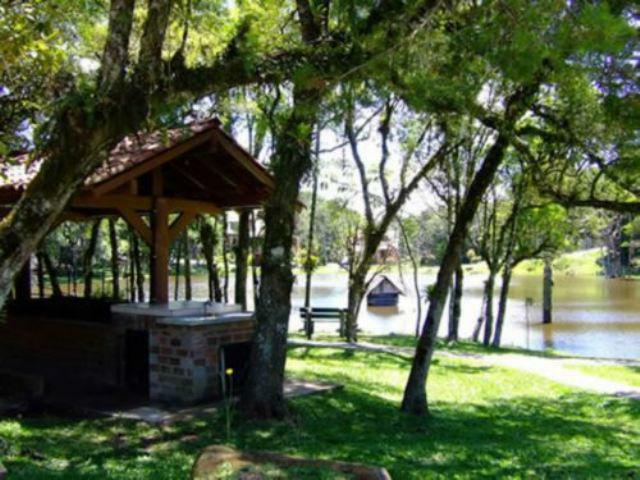 Terreno - Bairro Lagos de Gramado - Foto 5