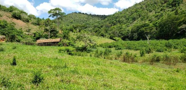 Fazenda 295 hectares próximo de Governador ValadaresMG - Foto 18
