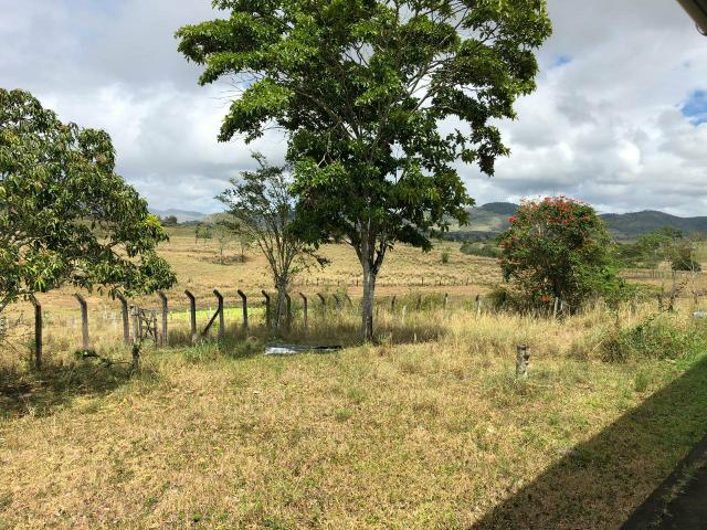 Fazenda Floresta Azul - Foto 6