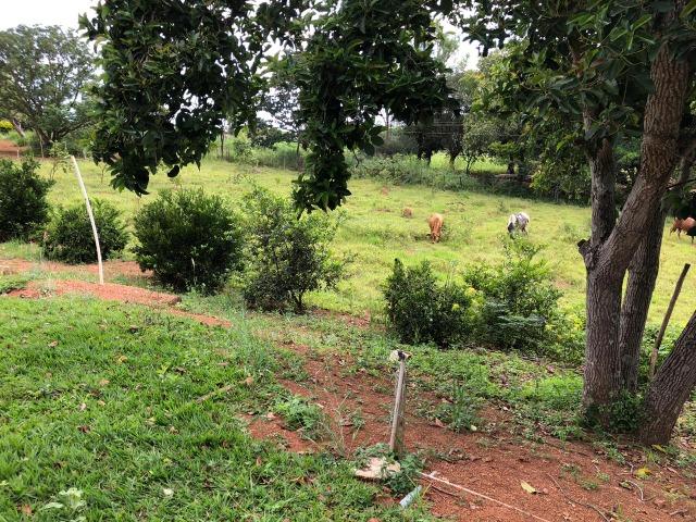 Sérgio Soares Vende: Linda chácara na Ponte Alta 3 hectares - Foto 12