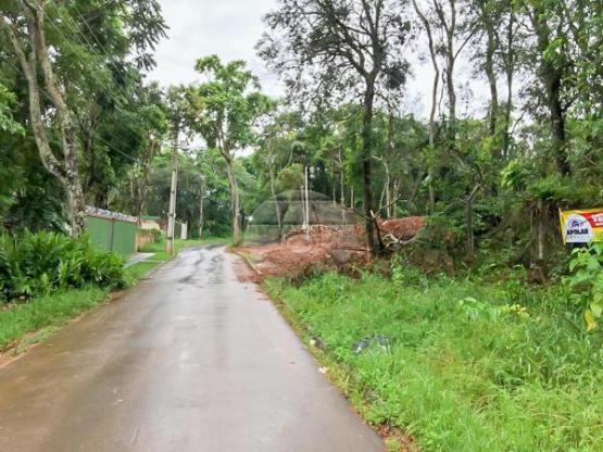 Terreno à venda em Barreirinha, Curitiba cod:142312 - Foto 3