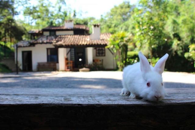 Sítio à venda com 4 dormitórios em Potuvera, Itapecerica da serra cod:6437 - Foto 13