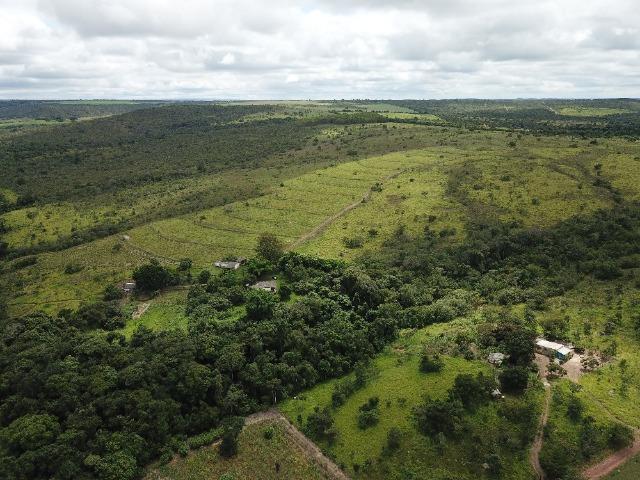 Fazenda- 69,33 hectares- Santo Antônio do Descoberto - Foto 2