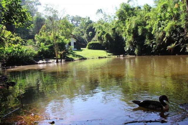 Sítio à venda com 4 dormitórios em Potuvera, Itapecerica da serra cod:6437 - Foto 18