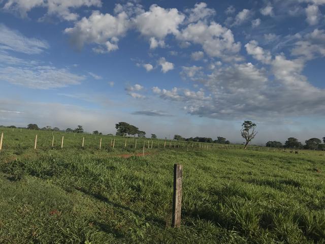 Vendo Sítio - Hidrolândia - GO - Foto 13