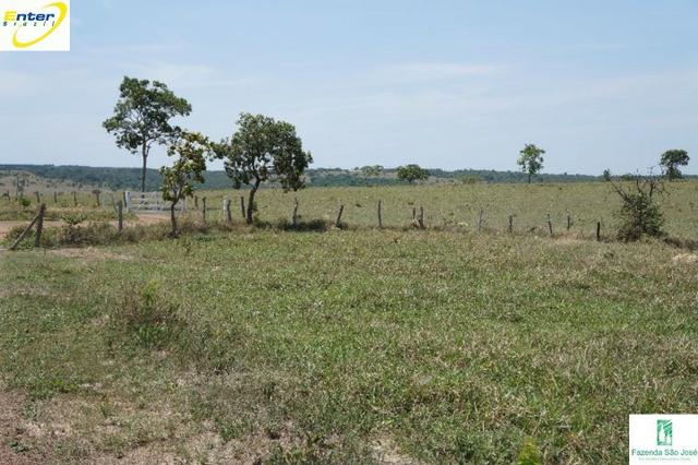 Fazenda- 69,33 hectares- Santo Antônio do Descoberto - Foto 13