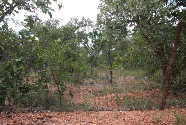 Terreno de 32 hectares em Curvelo - Foto 17