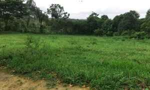 Terra em Sena Madureira de 120 hectares 