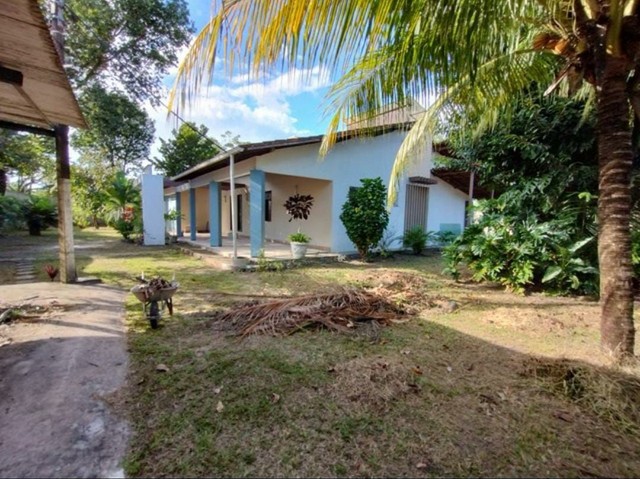 Vendo sítio dentro da cidade - Foto 5