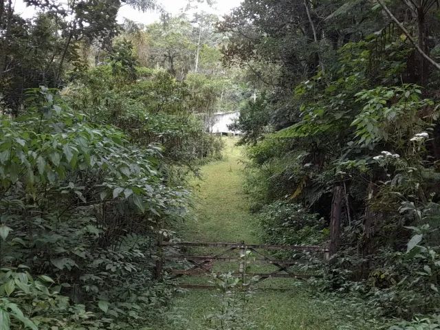 Sítio 25.000 m², Casas de Madeira, 2 Riachos, Rocinha, São Pedro De Alcântara - Foto 13
