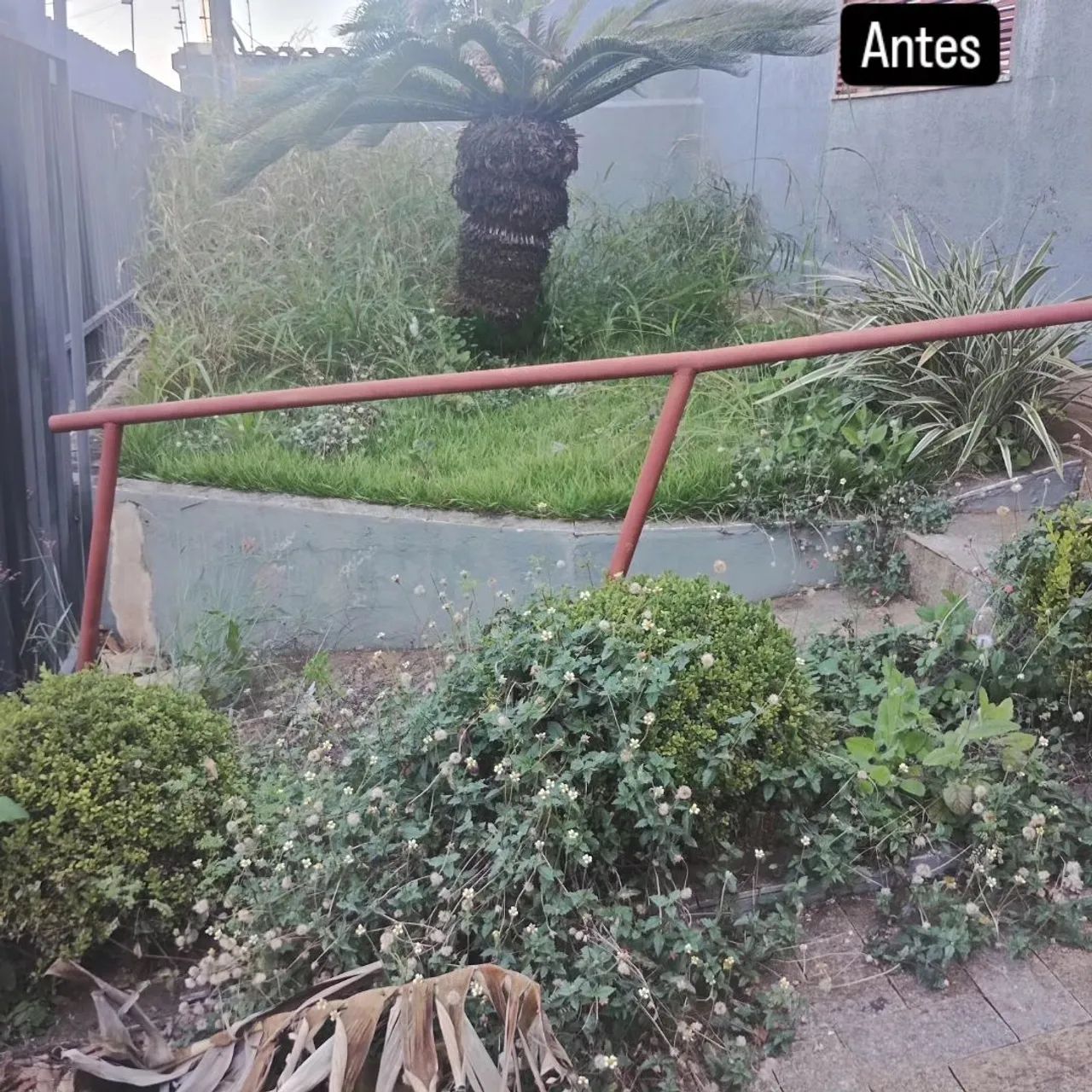 Jardinagem e podas  - Foto 4
