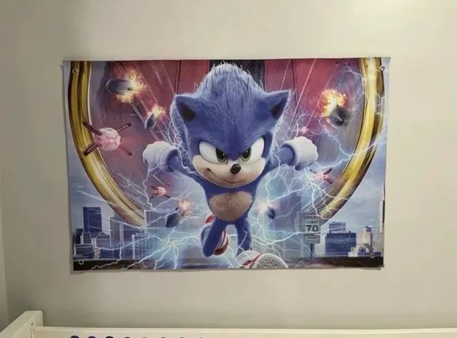 Painel em lona Sonic