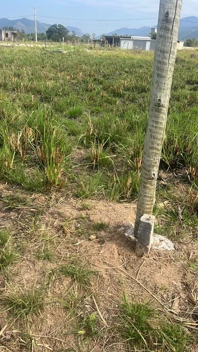 Terreno  - Foto 2