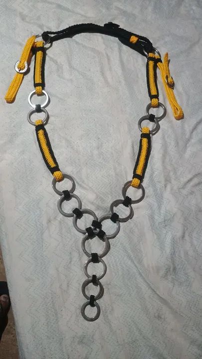 Tráia de frente para cavalo e burro  - Foto 2