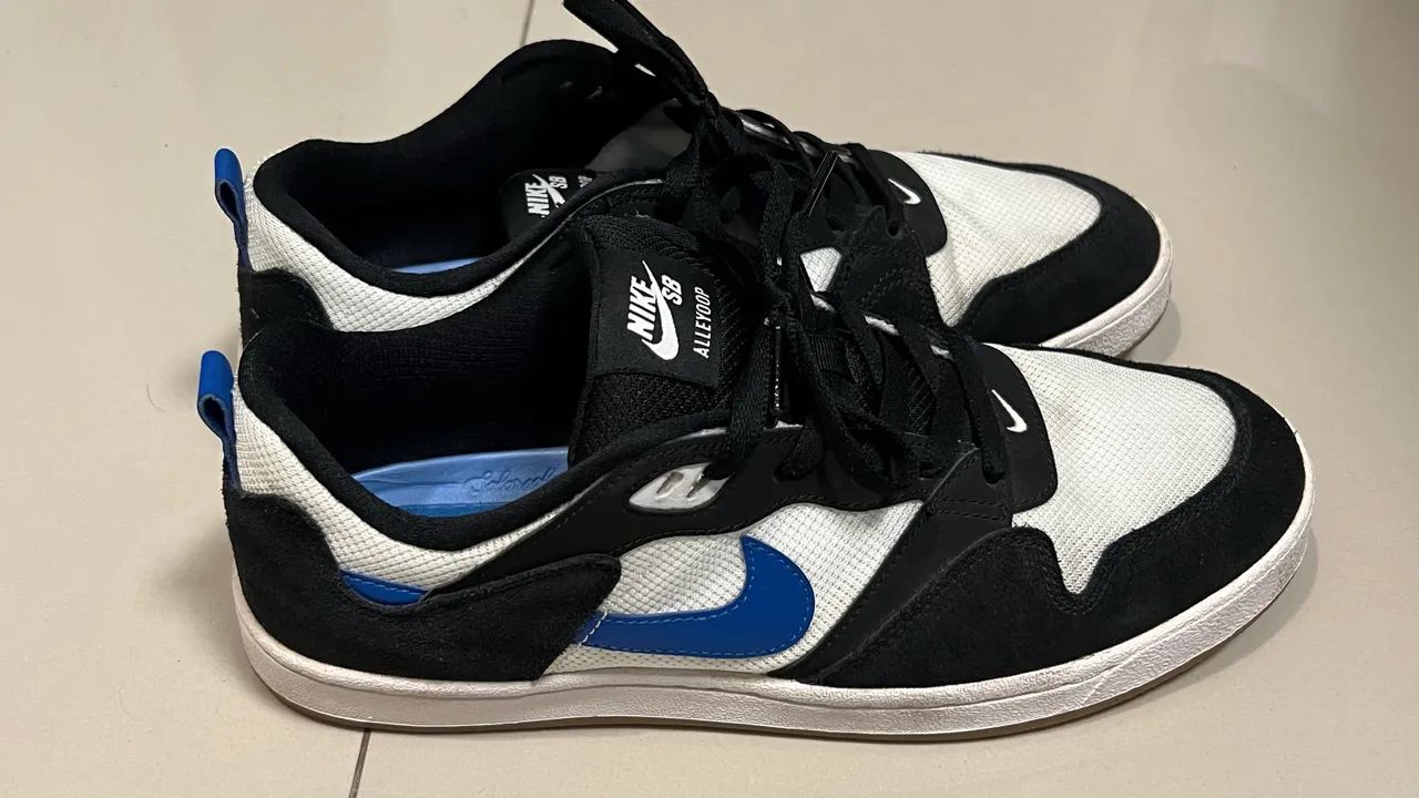 Nike Sb Alleyoop