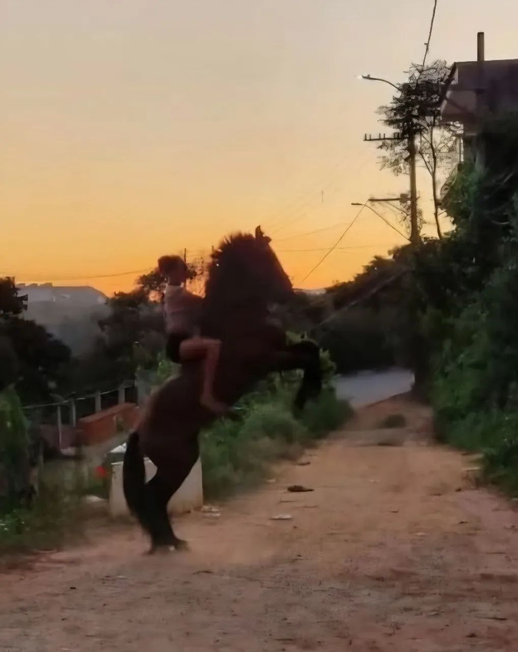 Cavalo com marcha picada, 4 anos á venda - Foto 4