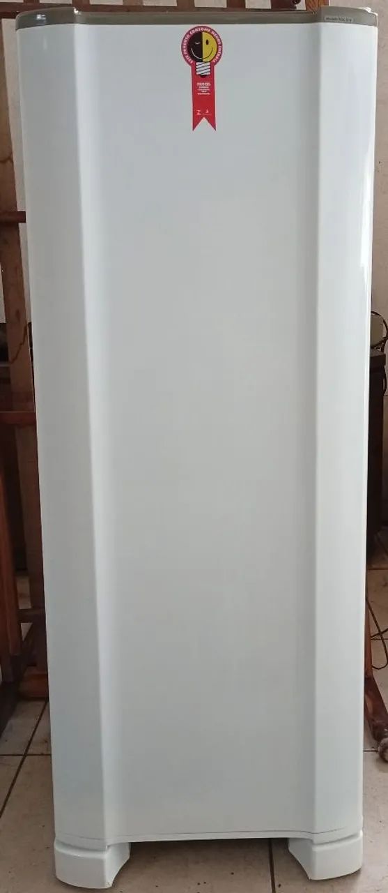 Geladeira esmaltec de 255 litros usada barata