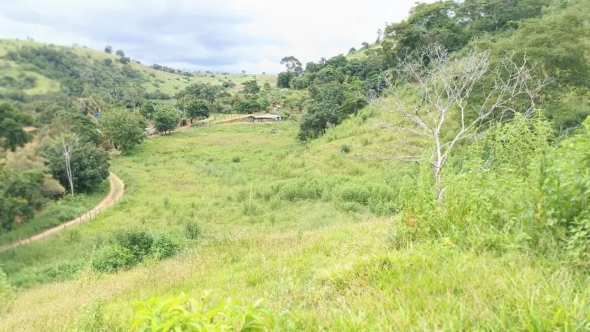 Ótimo sítio venda em São João Nepomuceno MG.  - Foto 12