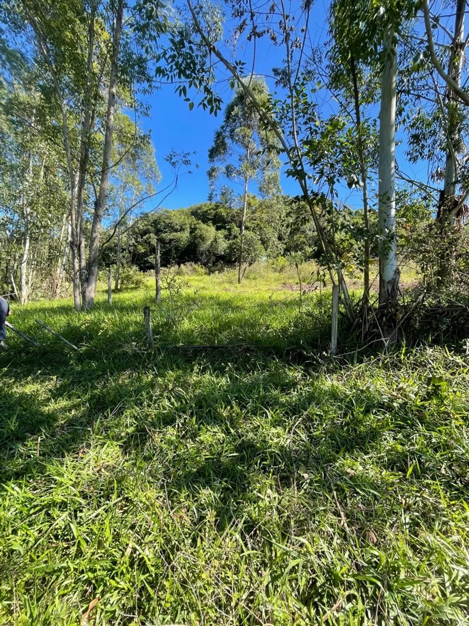 Sítios em estância velha  - Foto 3