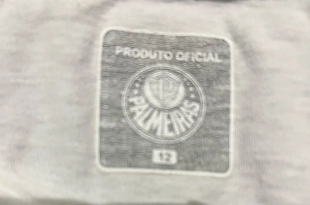 Camiseta Palmeiras tamanho 12  - Foto 5