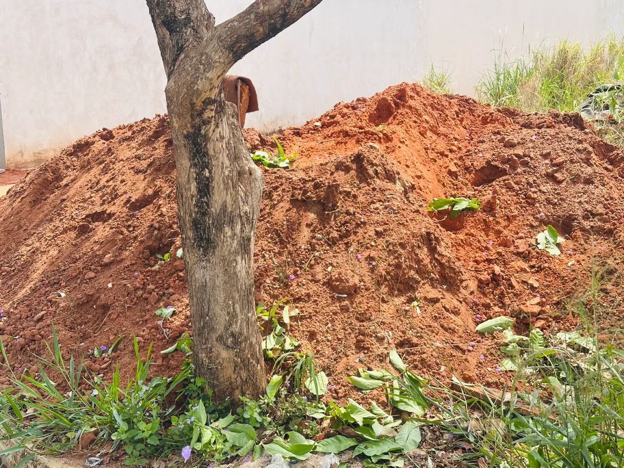 Doa-se terra64286471764355122