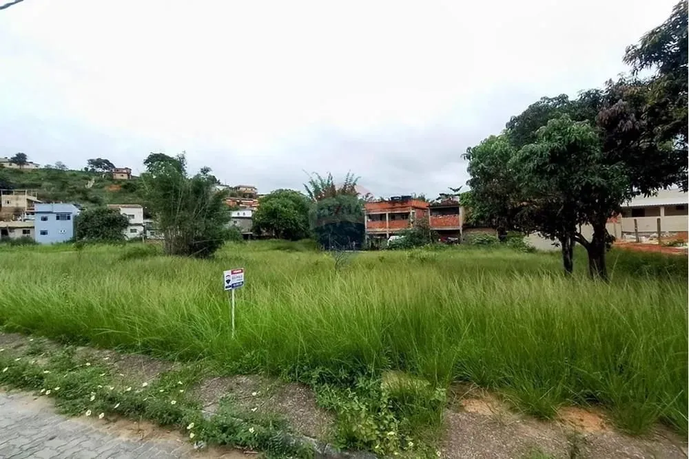 Os melhores terrenos do Parque da Figueira estão com a RE/MAX!
