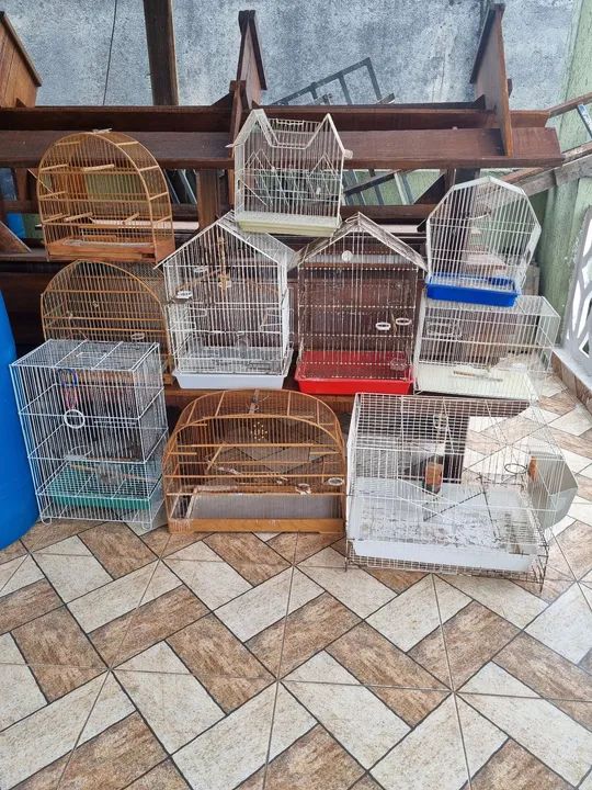 10 Gaiolas, tamanhos diversos 