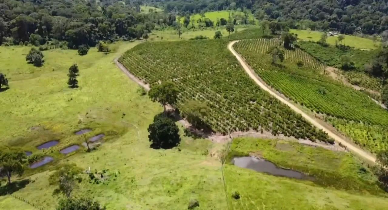 Fazenda em Santa Luzia - Foto 2