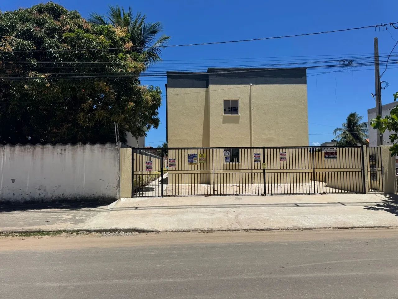 Foto - Paulista - Pau Amarelo